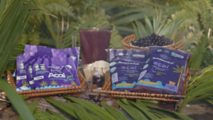 Com o apoio do Fundo JBS pela Amazônia, cooperativa lucra com exportação de açaí em pó