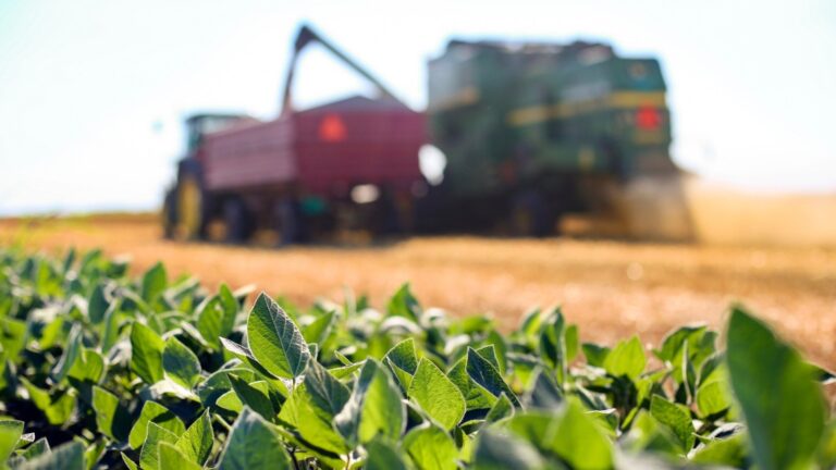 Dia do agronegócio: safra recorde e aumento do PIB são os presentes do setor ao país