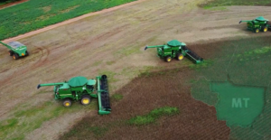 Doenças na soja; veja as estratégias adotadas pelos produtores