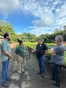 Mudas doadas pela Itaipu Binacional serão destinadas a ações de reflorestamento na Serra da Bodoquena