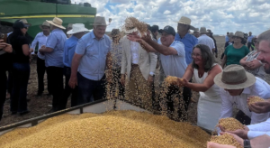 Parceiros do projeto Soja Brasil acompanham a colheita pelo país