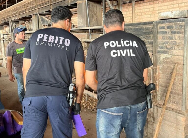 Polícia Civil incinera mais de 550kg de entorpecentes em Rio Verde