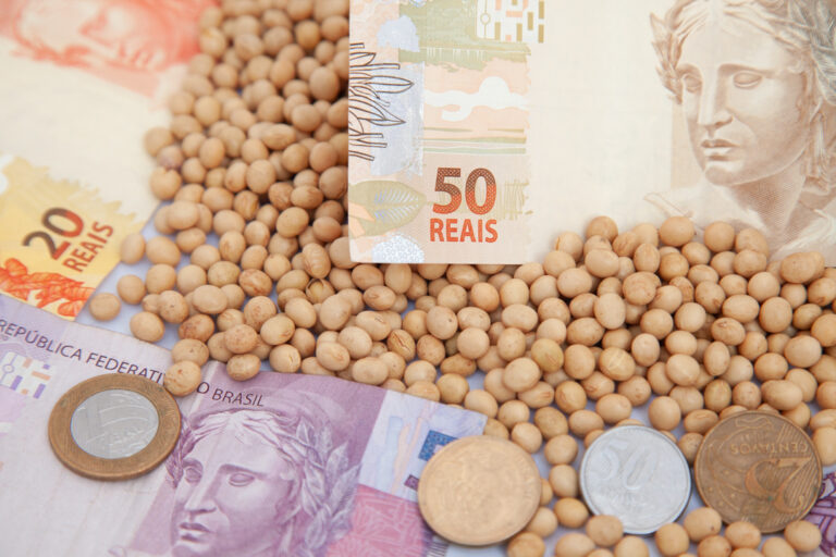 Pouca movimentação no mercado da soja; confira as cotações no Brasil