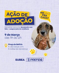 Prefeitura realiza ação de adoção de cães e gatos no domingo (02)