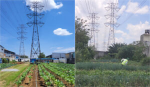 horta sob redes de transmissão de energia