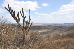 Seca 2024: pagamento de crédito rural emergencial será prorrogado