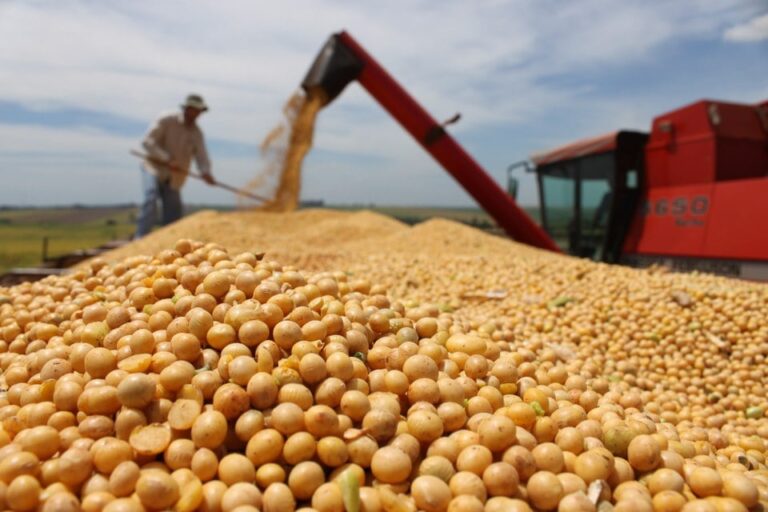 Suspensão do Plano Safra: FPA diz que falta responsabilidade fiscal do governo