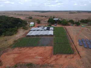 Tecnologia identifica uso de plástico na agricultura e sugere sistema de logística reversa