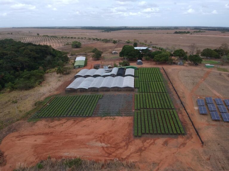 Tecnologia identifica uso de plástico na agricultura e sugere sistema de logística reversa