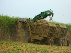 Apesar do superávit de US$ 3 bi, agro paulista recua 25% em relação ao ano passado