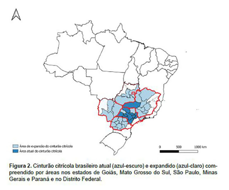 Brasil expande cinturão citrícola para escapar do greening