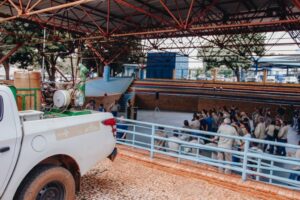 Com menor número de notificações em 3 anos, Prefeitura intensifica ações contra Aedes 