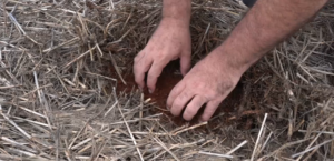 Encontro discute estratégias de fomento ao Sistema Plantio Direto na agricultura