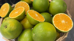 Estoques de suco de laranja atingem menor nível da série histórica