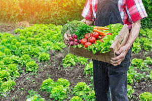 Inscrições do Programa de Aquisição de Alimentos são prorrogadas