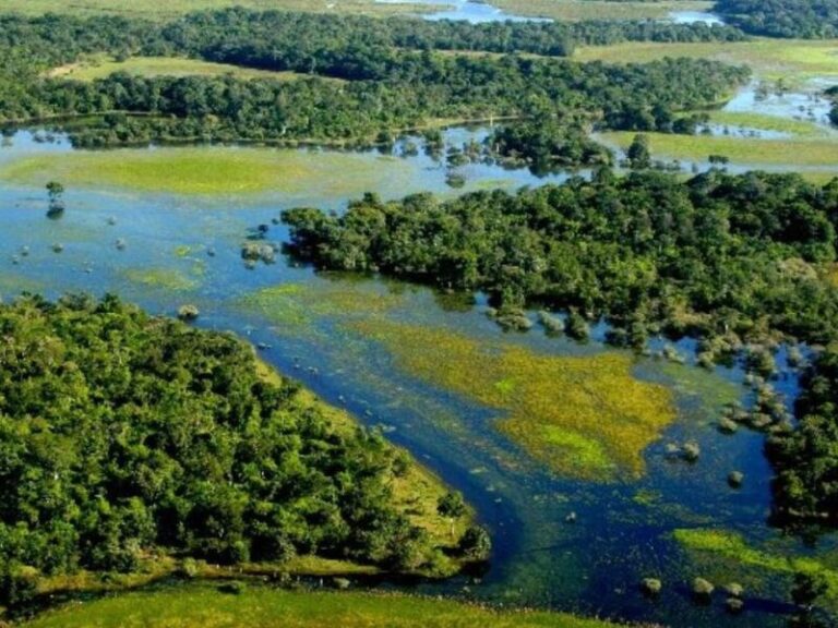 Pantanal Sul-Mato-Grossense é reconhecido como patrimônio nacional