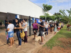 Plantão de Castração atende 200 Animais no CRAS Hércules Mandetta