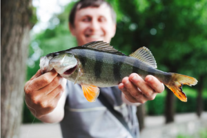 Projeto Aquicultura Brasil revoluciona a produção de pescados em 10 estados