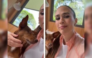 Tatá Werneck critica exclusão de sua cachorra em concurso pet