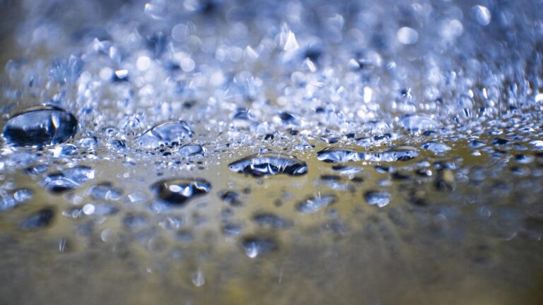 Chuva em excesso pode atrapalhar o desenvolvimento da soja em algumas regiões; saiba onde a água ‘cai’