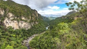 Parques Nacionais têm recorde de visitação em 2024; veja top 5