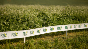 Raíx: inovação para transformar o futuro da agricultura com mais produtividade e rentabilidade