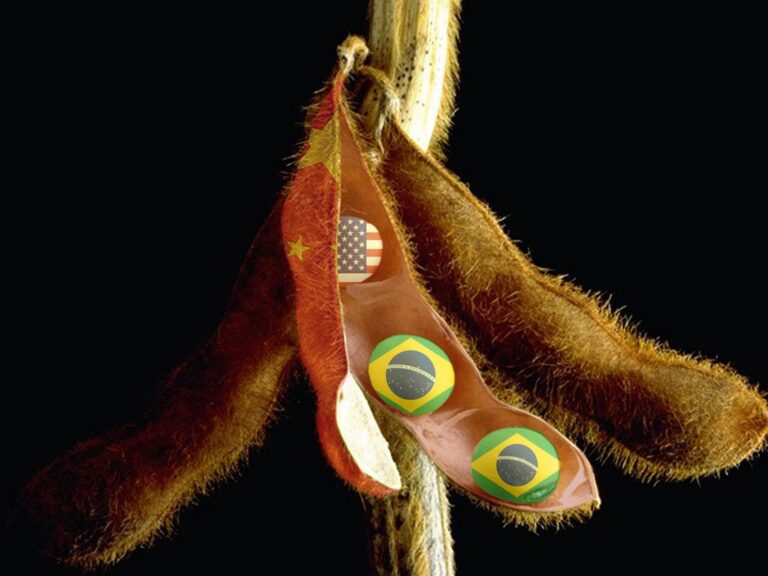 Tarifas chegam e colheita da soja se ‘despede’; especialista comenta o que esperar do mercado do grão