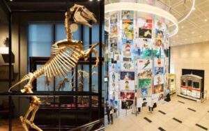5 museus gratuitos para visitar em Tóquio
