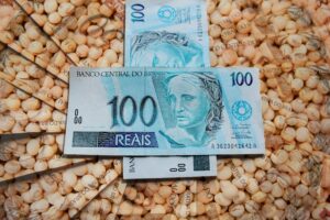 Após divulgação do USDA: preços de soja sofreram alteração no Brasil?