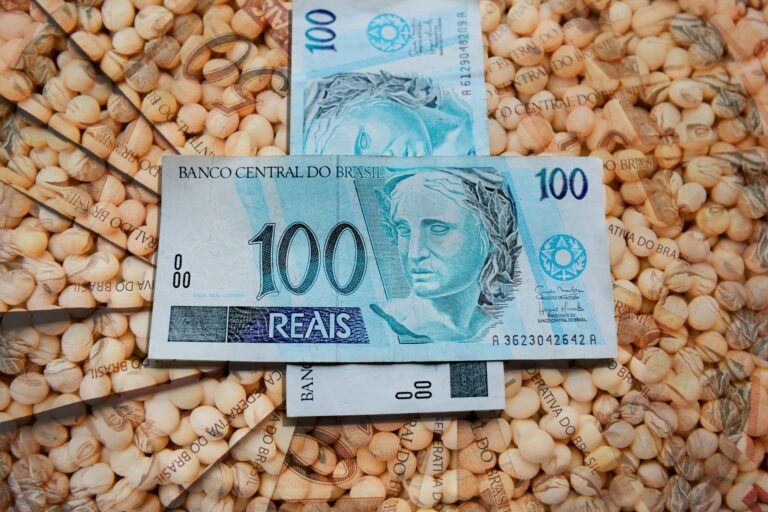 Após divulgação do USDA: preços de soja sofreram alteração no Brasil?