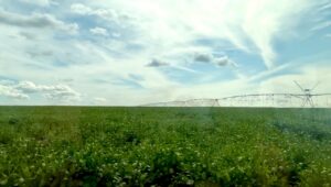 Brasil vai elaborar proposta para produzir alimentos em Angola