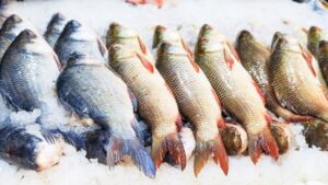 Brasil vai exportar pescados para Austrália