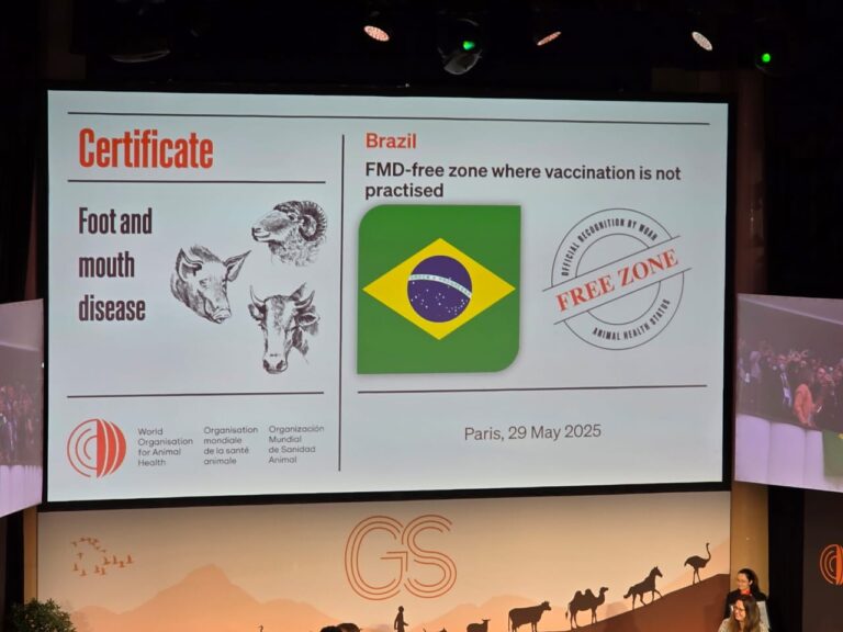 Certificação fortalece imagem da pecuária e permite acesso a mercados mais exigentes, diz CNA
