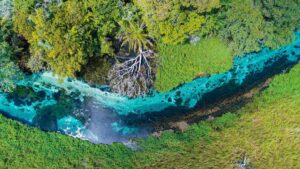 Confira detalhes dos voos da Latam em Campinas, Bonito e Parnaíba