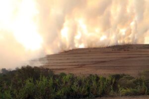 Desapropriação de terras por incêndios gera preocupação no PR