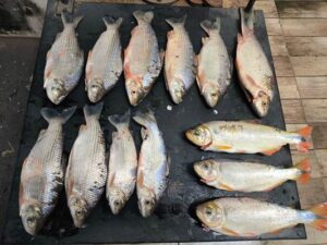 Dois homens são autuados por pesca irregular no Rio Taquari, em Coxim