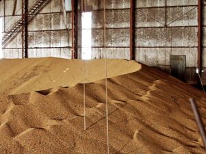 Duas vidas perdidas em silos de grãos acendem alerta sobre a segurança no campo