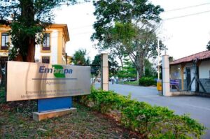 Embrapa completa 52 anos e lança Jornada pelo Clima com foco na agricultura de baixo carbono