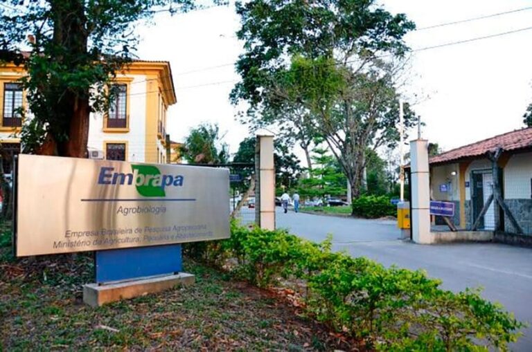Embrapa completa 52 anos e lança Jornada pelo Clima com foco na agricultura de baixo carbono