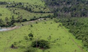 Fávaro: Proposta de licenciamento ambiental avança sem precarização