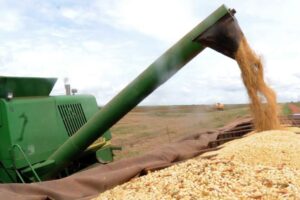 Feriado nos EUA ‘arrasta’ soja no Brasil; como ficaram as cotações na última segunda-feira do mês?