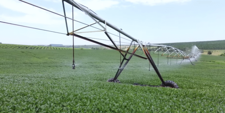Irrigação transforma lavouras de soja e impulsiona resultados no interior de São Paulo