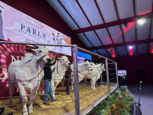 Pecuária brasileira atinge marco histórico com recorde do pacote genético de Parla FIV AJJ