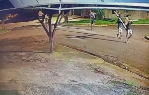 Prefeitura constata furto de cinco placas de trânsito e alerta a população