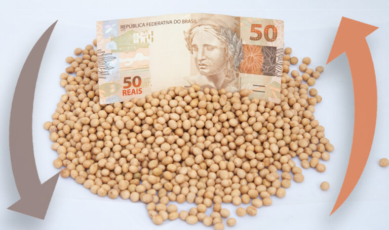 Prorrogação de dívidas dos produtores do RS é aprovada pelo governo