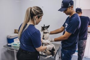 Sesau leva serviço móvel de exames do CCZ ao Jardim Noroeste nesta sexta-feira (30)