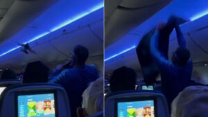 VÍDEO: pombos invadem avião nos EUA e interrompem decolagem