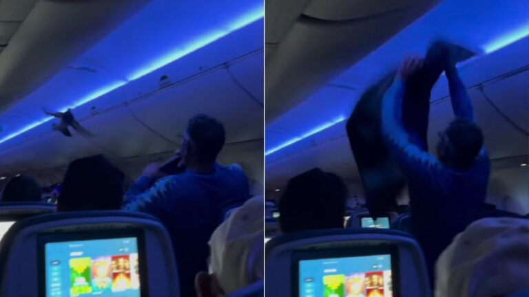 VÍDEO: pombos invadem avião nos EUA e interrompem decolagem