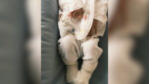Veja quais famosas celebram o primeiro Dia das Mães em 2025