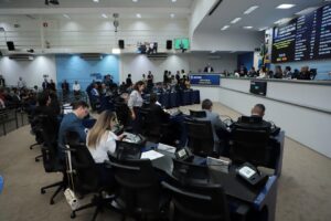 Vereadores votam projeto que institui Comitê do Plano Municipal da Primeira Infância e dois vetos